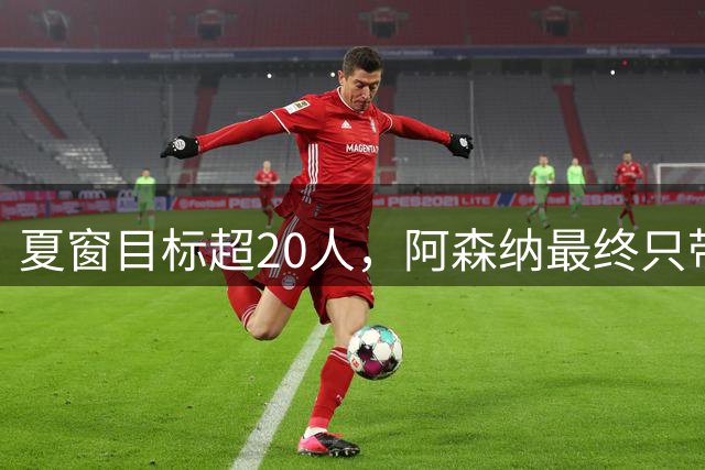 夏窗目标超20人，阿森纳最终只带回一个吉马良斯